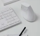 ��ǰ ����4