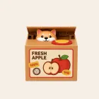 ��ǰ ����4