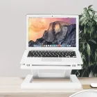 ��ǰ ����5