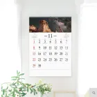 ��ǰ ����5