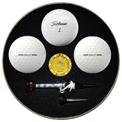 ŸƲƮ  PRO V1 3  Ŀ ڼƼƮ