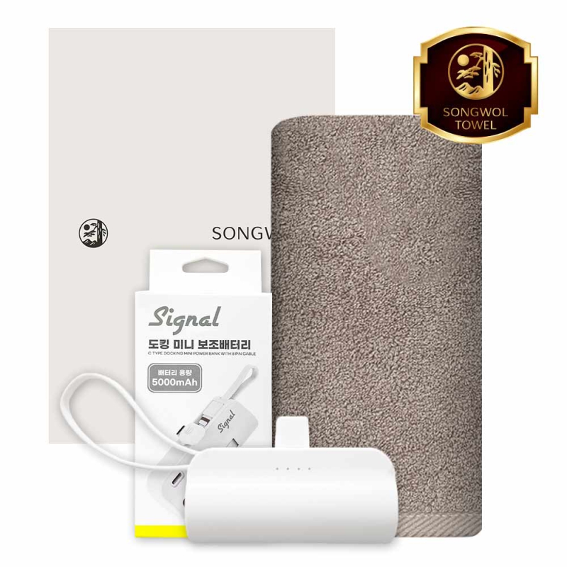 ����/Ÿ�� ������/��/�ؼ���Ÿ�� [�ۿ�] ��ŷ�������͸� 5000mAh ��Ʈ (���÷����� Ÿ�� 1�� + ��ŷ�������͸� 1��) ��ǰ ����