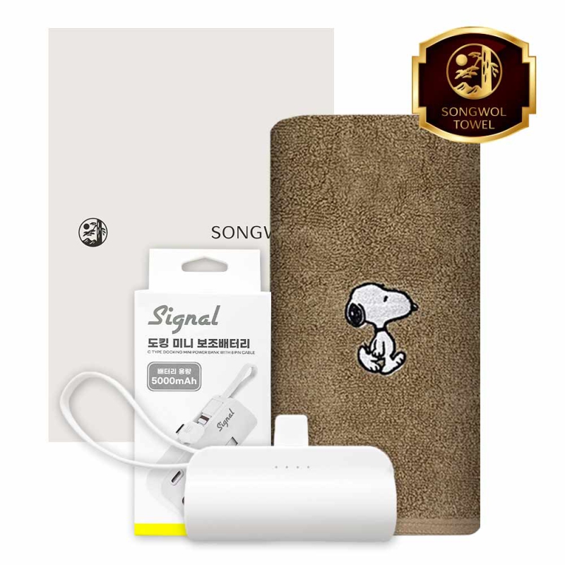 ����/Ÿ�� Ÿ��/��Ÿ��Ʈ [�ۿ�] ��ŷ�������͸� 5000mAh ��Ʈ (�����Ǹ���40 Ÿ�� 1�� + ��ŷ�������͸� 1��) ��ǰ ����