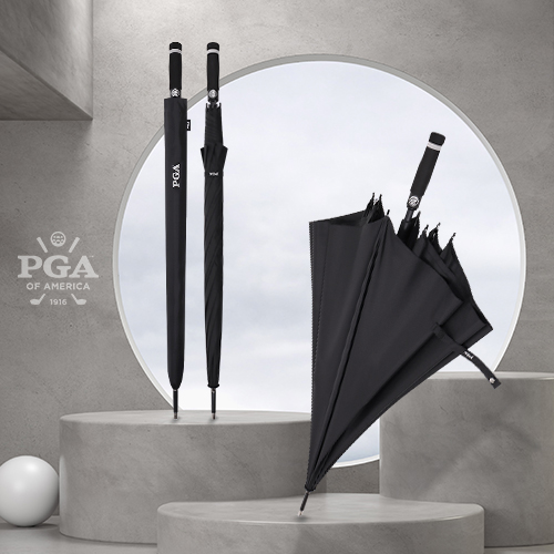   PGA 80ڵȭ̹ٹ ǰ 