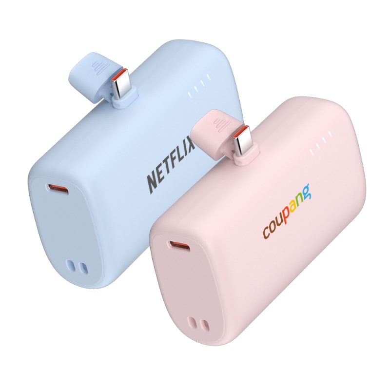 ̾ CŸ  ŷ 22.5W ͸  10000mAh