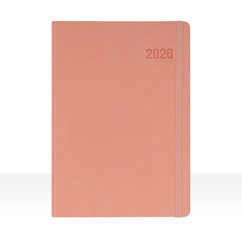 ˹ ̾(2026) ̾ 32//25 ġũ   ̾ ǰ 