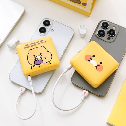 ͸ ͸ ߿뷮 10000 [īī]   ̴ ͸ 10000mAh 2 ǰ 