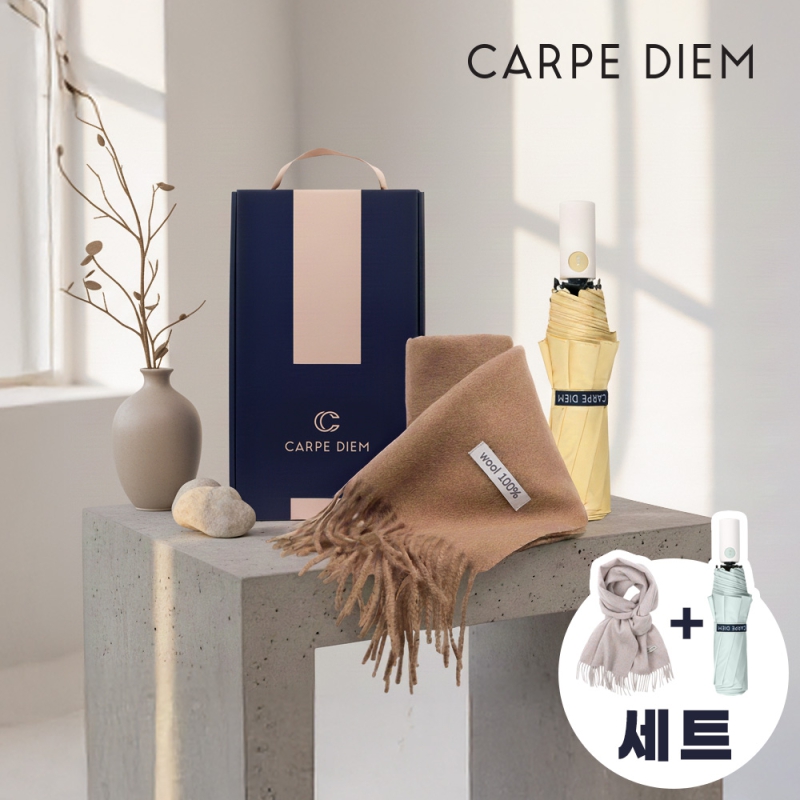 Ƿ ŸǷ/Ź 񵵸 ī ÷ Ʈ (3C061) ǰ 