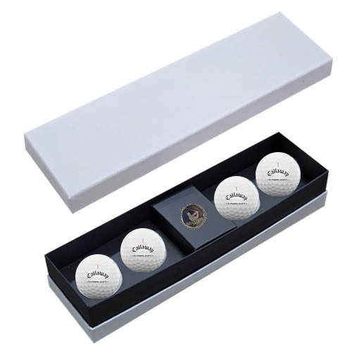 ǰ ǰƮ Ķ ũ TT 4 Ŀ  ιٸ̽ CC4B1 ǰ 