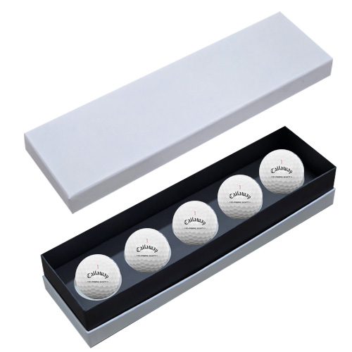 ������ǰ ������ Ķ������ ũ�� TT 5�� ���� �ιٸ����̽� CC5 ��ǰ ����