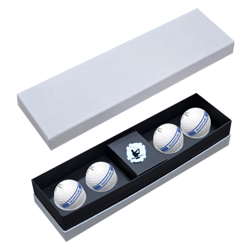 ǰ ǰƮ Ʈ  4 ĿĨ  ιٸ̽ SQ4BC1 ǰ 