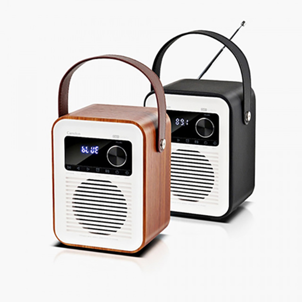 ĵ C601 Geppetto  Ŀ