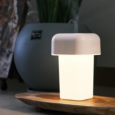 ��Ȱ���� ������ �����/��ɼ� ������ [����] LED ���� 2�� ������ ������ ��ǰ ����