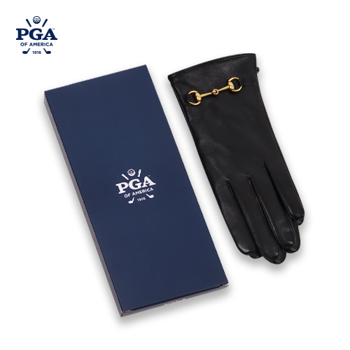 PGA W15 ����Ʈ����ġ ���� �簡�� �尩