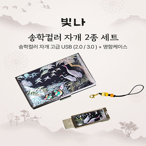 ���� ���� �÷� 2����Ʈ (�������̽�+USB�޸� USB2.0 8GB~128GB)