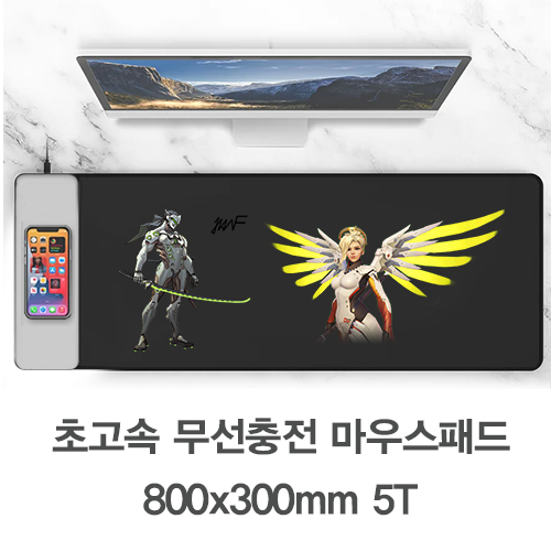 ���� �������� ���콺 ���е�(800x300mm/5T)