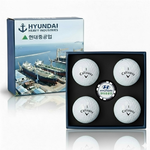 [����]Ķ������ CXR��Ʈ�� 4�� ����Ŀ Ĩ��Ʈ