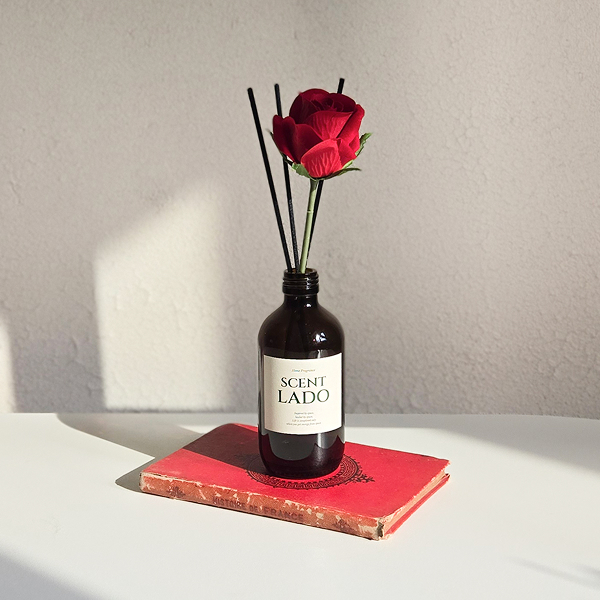 Ȩ/���׸����ǰ ĵ��/��ǻ��/������ ��ǻ�� ��Ʈ�� ��ǻ�� ������� 200ml ��ǰ ����