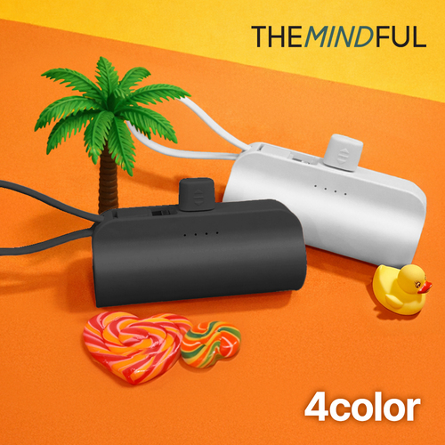 �����ε�Ǯ 5000mah ��ŷ�� ���� ��ŷ�� �������͸� ���� 4��