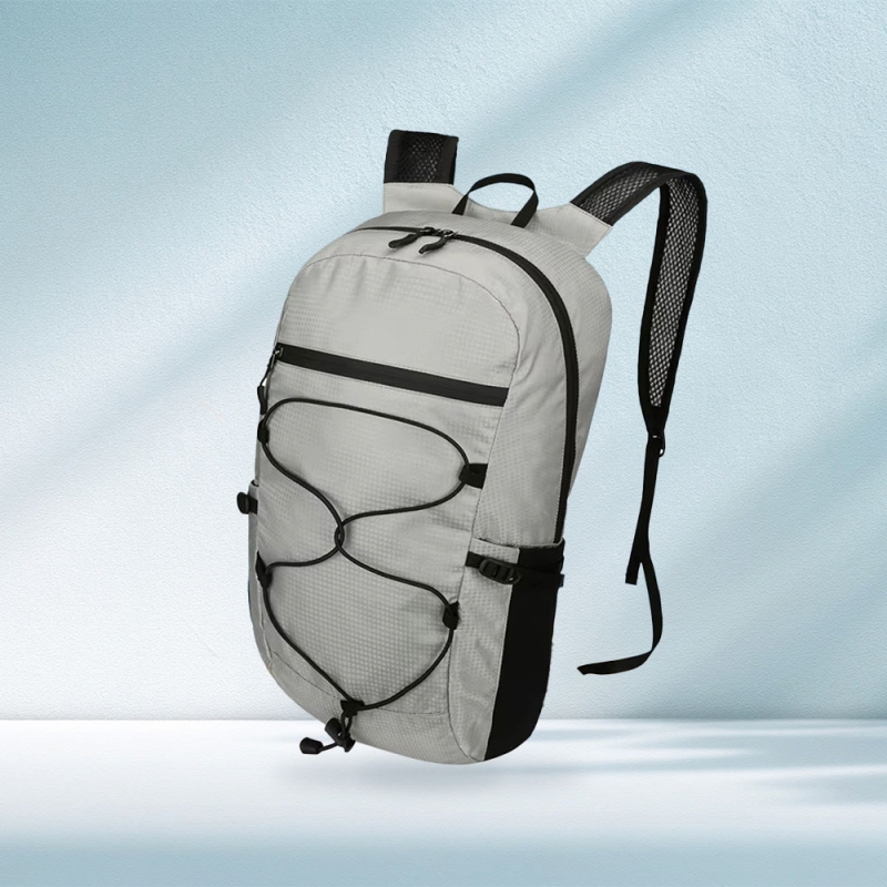 ���� ������ ����