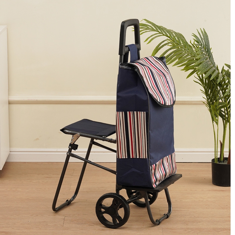 ���ڹ�/���ι� ��ٱ���/ĳ���� ĳ���� ��ٱ��� (Blossom) ���̽� ���� ��� �淮 ��ٱ��� ĳ���� 1P ��ǰ ����