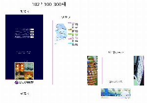 ÀÎ¼â ½Ã¾È À̹ÌÁö 11438