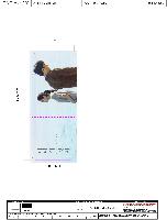 ÀÎ¼â ½Ã¾È À̹ÌÁö 37160