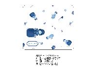 ÀÎ¼â ½Ã¾È À̹ÌÁö 40865