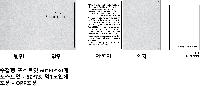 ÀÎ¼â ½Ã¾È À̹ÌÁö 48520