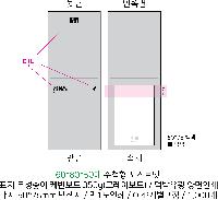 ÀÎ¼â ½Ã¾È À̹ÌÁö 49098
