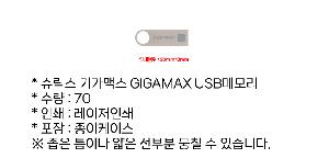 USB   |  Ⱑƽ GIGAMAX USB޸ 4GB~128GB ǰ