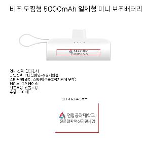 USB   |  ŷ 5000mAh ü ̴ ͸