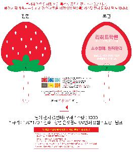 인쇄 시안 이미지 105245