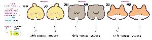 인쇄 시안 이미지 105789