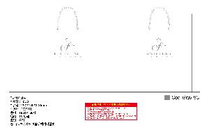 시안 샘플 10