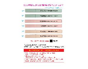 시안 샘플 5