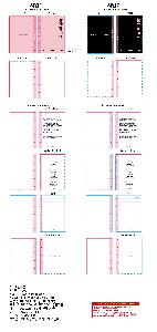 시안 샘플 9