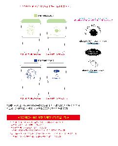 μ þ ̹ 109415