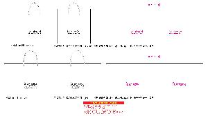 μ þ ̹ 110446