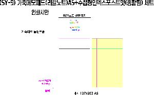 시안 샘플 6