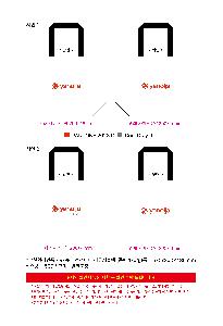 μ þ ̹ 113532