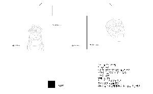 �μ� �þ� �̹��� 121422